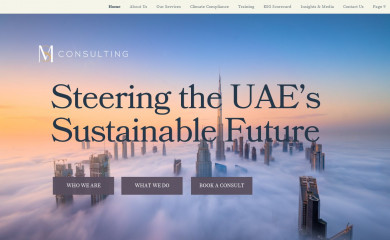 msconsulting.ae screenshot