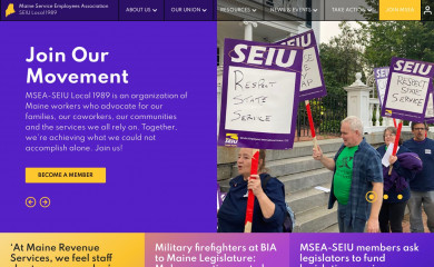 mseaseiu.org screenshot