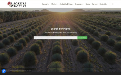 mswn.com screenshot