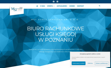 mstaudit.com.pl screenshot