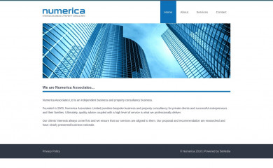 numericaassociates.com screenshot