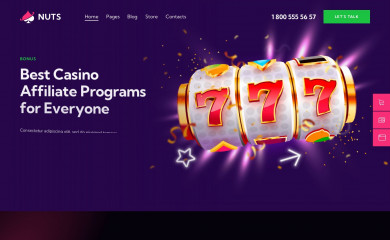 Nuts Child Theme screenshot