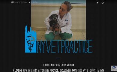 nyvetpractice.com screenshot
