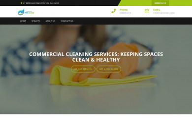 nzproclean.co.nz screenshot
