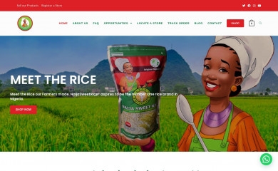 naijasweetrice.com screenshot