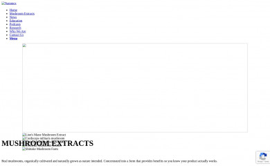 nammex.com screenshot