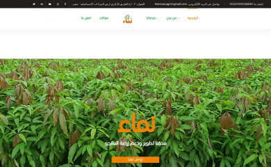 namaa.com.eg screenshot