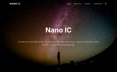 nano-ic.com screenshot
