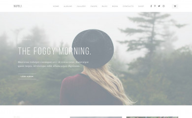 https://napoli.foxthemes.me/ screenshot