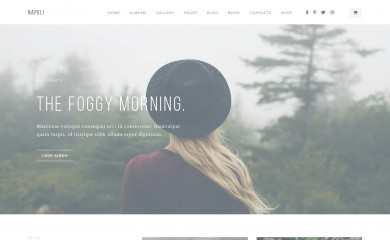 https://napoli.foxthemes.me/ screenshot