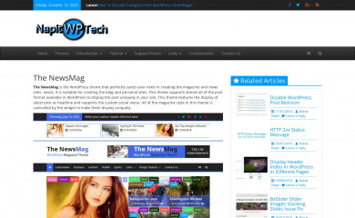 https://napitwptech.com/themes/the-newsmag/ screenshot