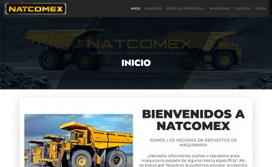 natcomex.com screenshot