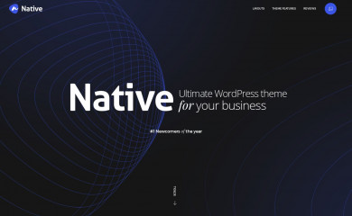 https://nativewptheme.net/ screenshot
