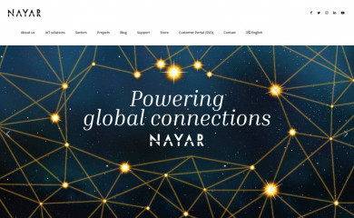 nayarsystems.com screenshot