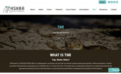 nbcats.org screenshot