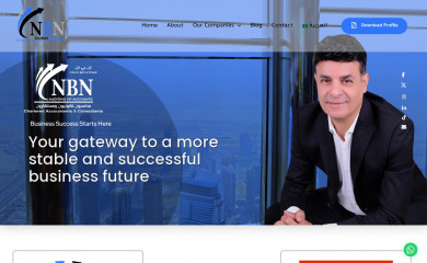 nbnauditing.ae screenshot