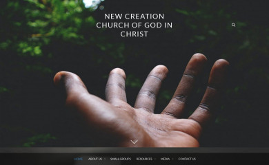 nccgic.org screenshot
