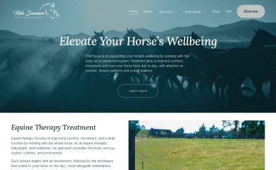 nelesvensson.com screenshot