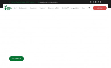 nemzetifaultetesnapja.hu screenshot