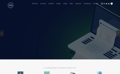 nesbilgi.com.tr screenshot
