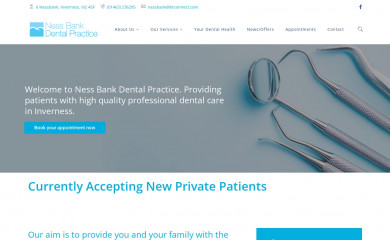 nessthetics.com screenshot