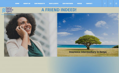 nephyinsurance.com screenshot