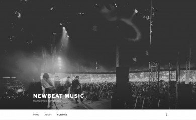 newbeatmusic.dk screenshot