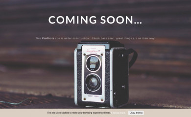 newborn-portrait-photography.com screenshot