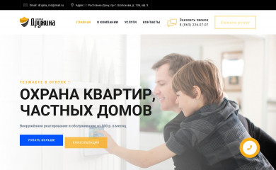newdrujina.ru screenshot