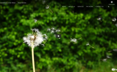 newfoundenterprises.co.za screenshot