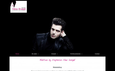 newimageerica.nl screenshot