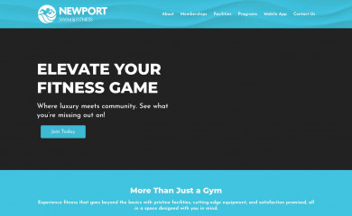 newportsaf.com screenshot