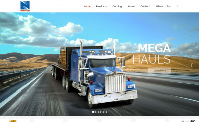 newrayusa.com screenshot