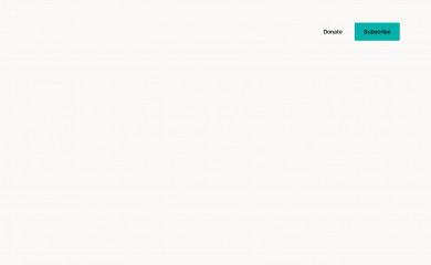 newslit.org screenshot