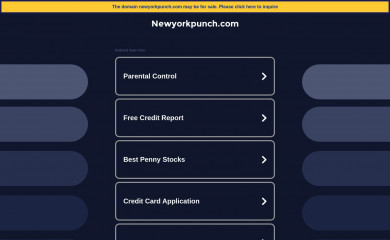 newyorkpunch.com screenshot