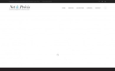 net-precis.com screenshot