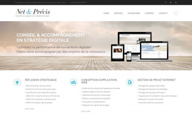 net-precis.com screenshot