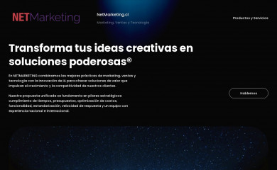 netmarketing.cl screenshot
