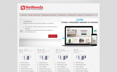 netneeds.co.nz screenshot
