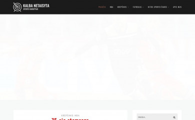 netaisyta.lt screenshot