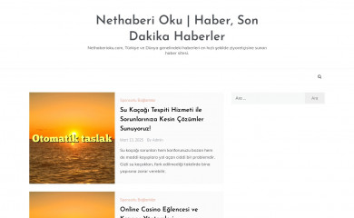 nethaberioku.com screenshot