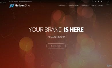 netizenone.com screenshot