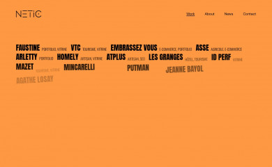 netic-agency.fr screenshot