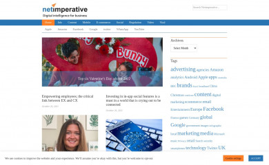 netimperative.com screenshot