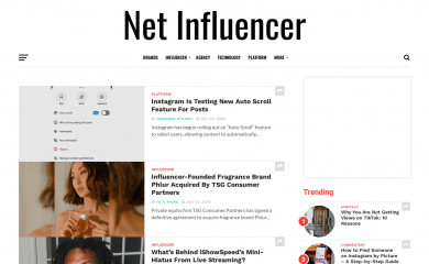netinfluencer.com screenshot