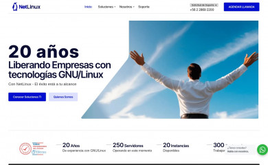 netlinux.cl screenshot