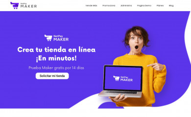 netpaymaker.mx screenshot
