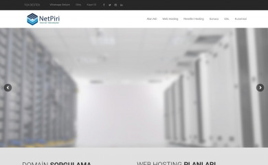 netpiri.com screenshot