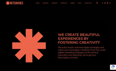 netsavvies.com screenshot