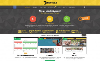 http://www.nettema.com/ screenshot